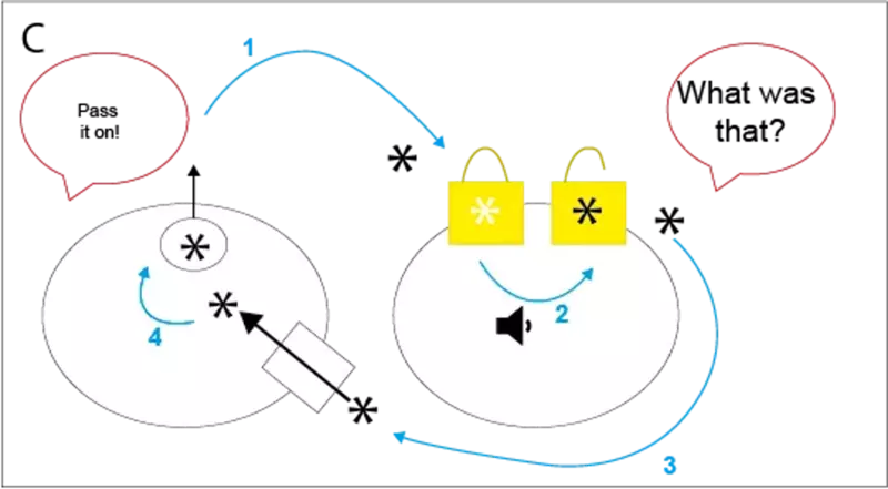 If not enough dopamine is released (1) or it’s taken away too quickly (3) the message received by the neighbour is too quiet (2).